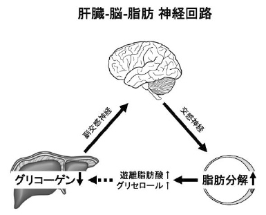図