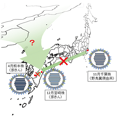 図