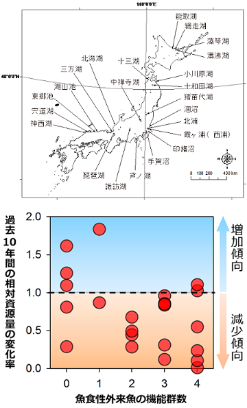 図