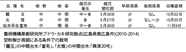 図