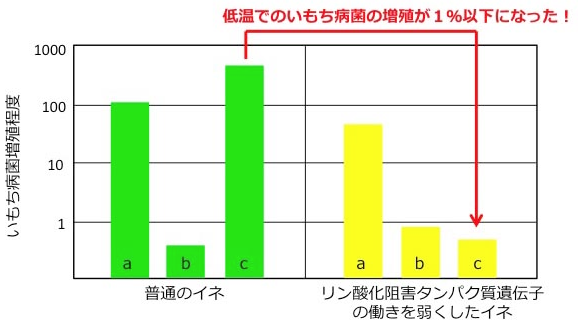 図