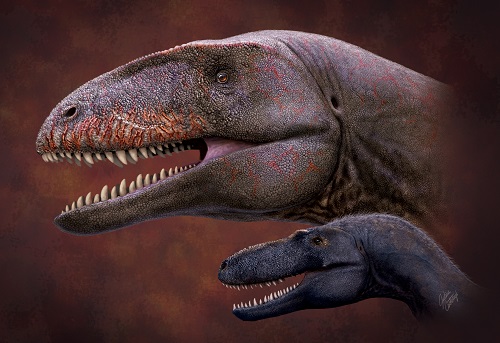 大型肉食恐竜の新種を発見 | つくばサイエンスニュース