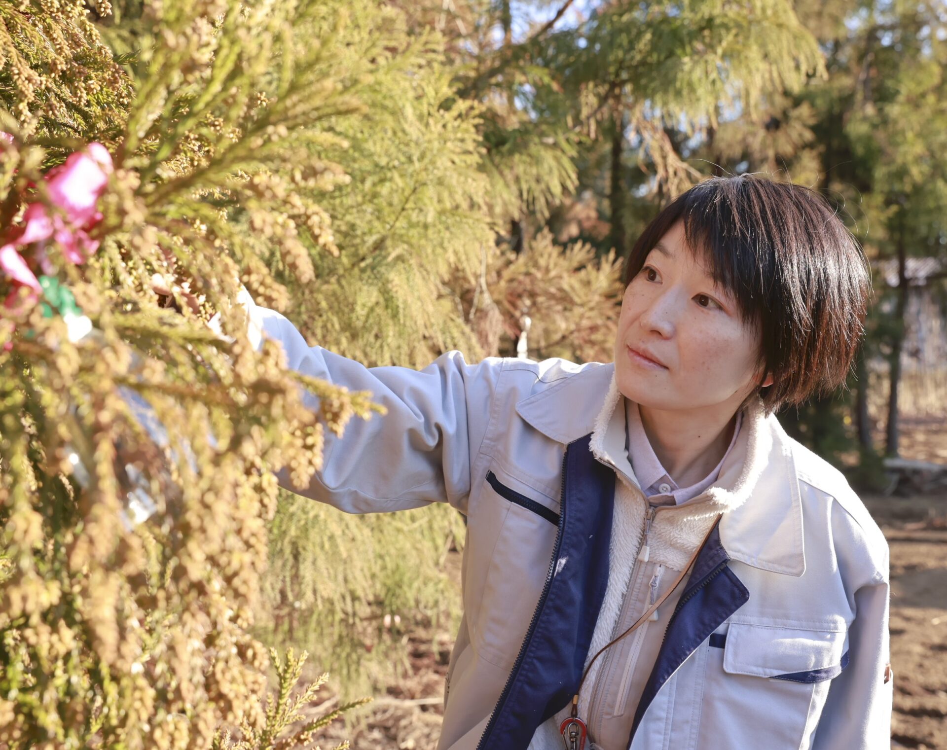 話題の人気 005.微生物を使ってスギ花粉の発生源を絶つ（森林総合研究所 空気清浄機・イオン発生器