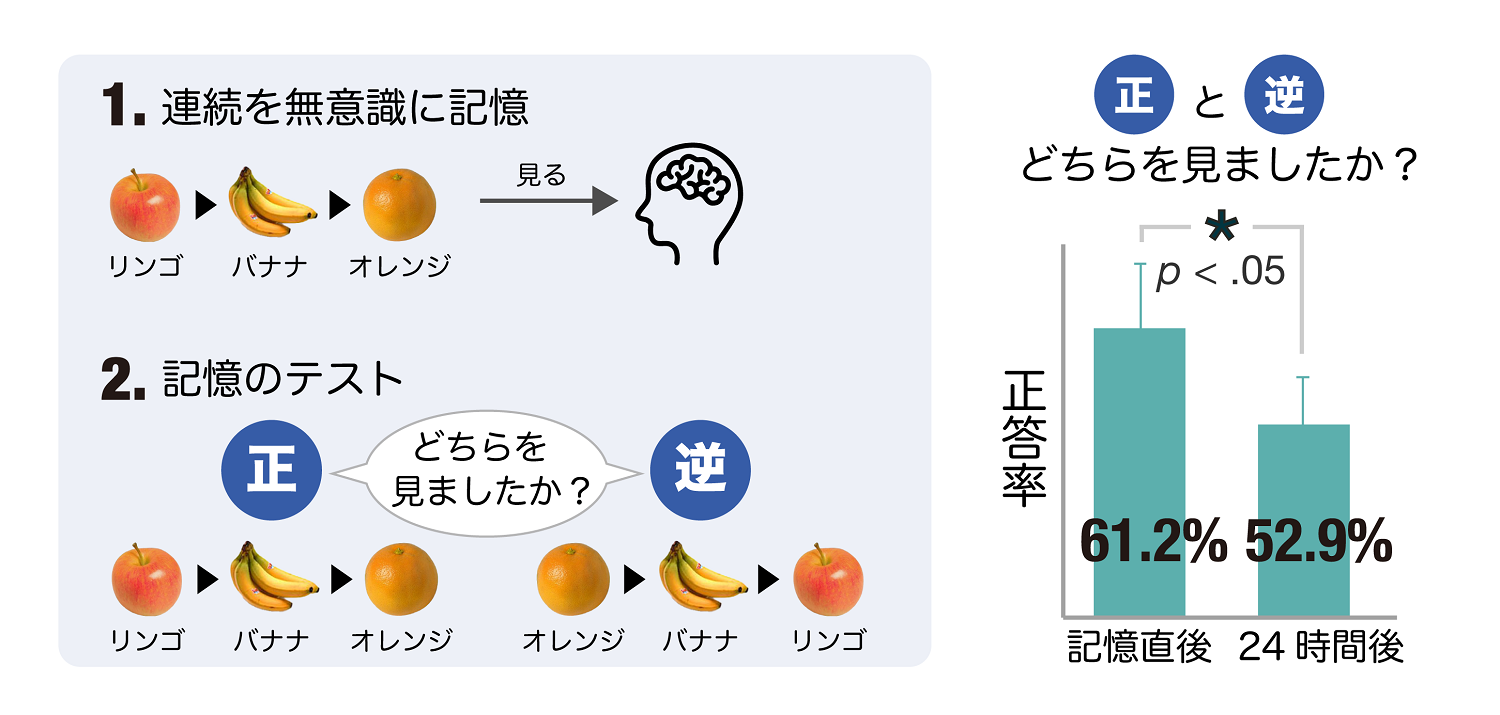 海馬の活動から記憶が時間の経過とともに曖昧になっていく