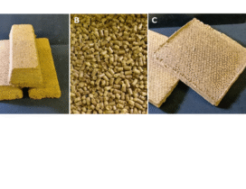 2. CaPPA図6 ©農研機構