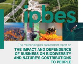 IPBES