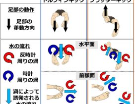図1 研究の概要
