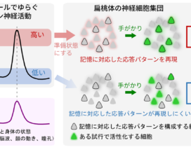 202606091000zu2