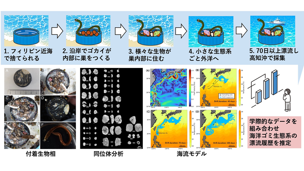 プラスチック海洋ゴミで新たな発見 | つくばサイエンスニュース 2026