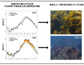 Graphical_Abstract_JP_left_only